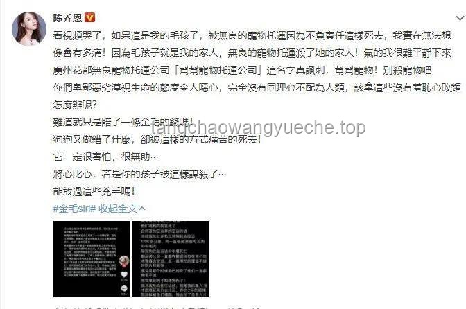 “最符合閱片無數(shù)的一集!從來沒這么緊張過”——《閱片無數(shù)SP》深度剖析與行業(yè)趨勢 “最符合閱片無數(shù)的一集!從來沒這么緊張過”——《閱片無數(shù)SP》深度剖析與行業(yè)趨勢