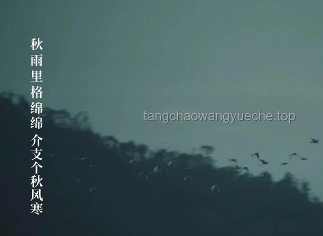**深夜獨白:那份孤獨奮斗后的成就感,這感覺,誰懂!?。?* **深夜獨白:那份孤獨奮斗后的成就感,這感覺,誰懂?。?!**
