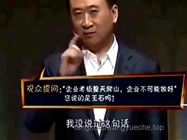 王健林“斷腕式”自救的長遠(yuǎn)策略與路徑探索