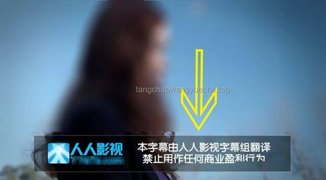 “誰能給墨索里尼刨墳?”——神奇組織31與其他潛在執(zhí)行者的對比分析 “誰能給墨索里尼刨墳?”——神奇組織31與其他潛在執(zhí)行者的對比分析
