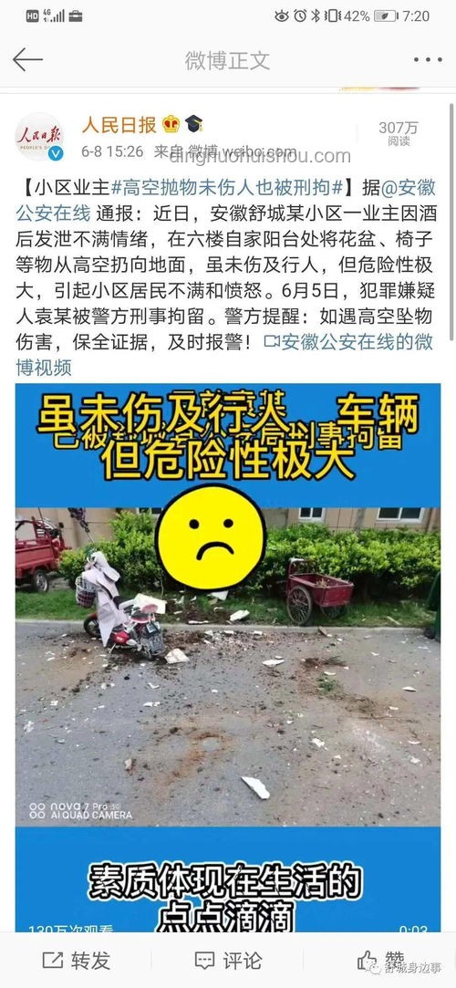 母女高空拋物新解:構(gòu)建社區(qū)安全創(chuàng)新生態(tài)?, 鄰里互助, 技術(shù)防護(hù), 心理健康 母女高空拋物新解:構(gòu)建社區(qū)安全創(chuàng)新生態(tài)?, 鄰里互助, 技術(shù)防護(hù), 心理健康