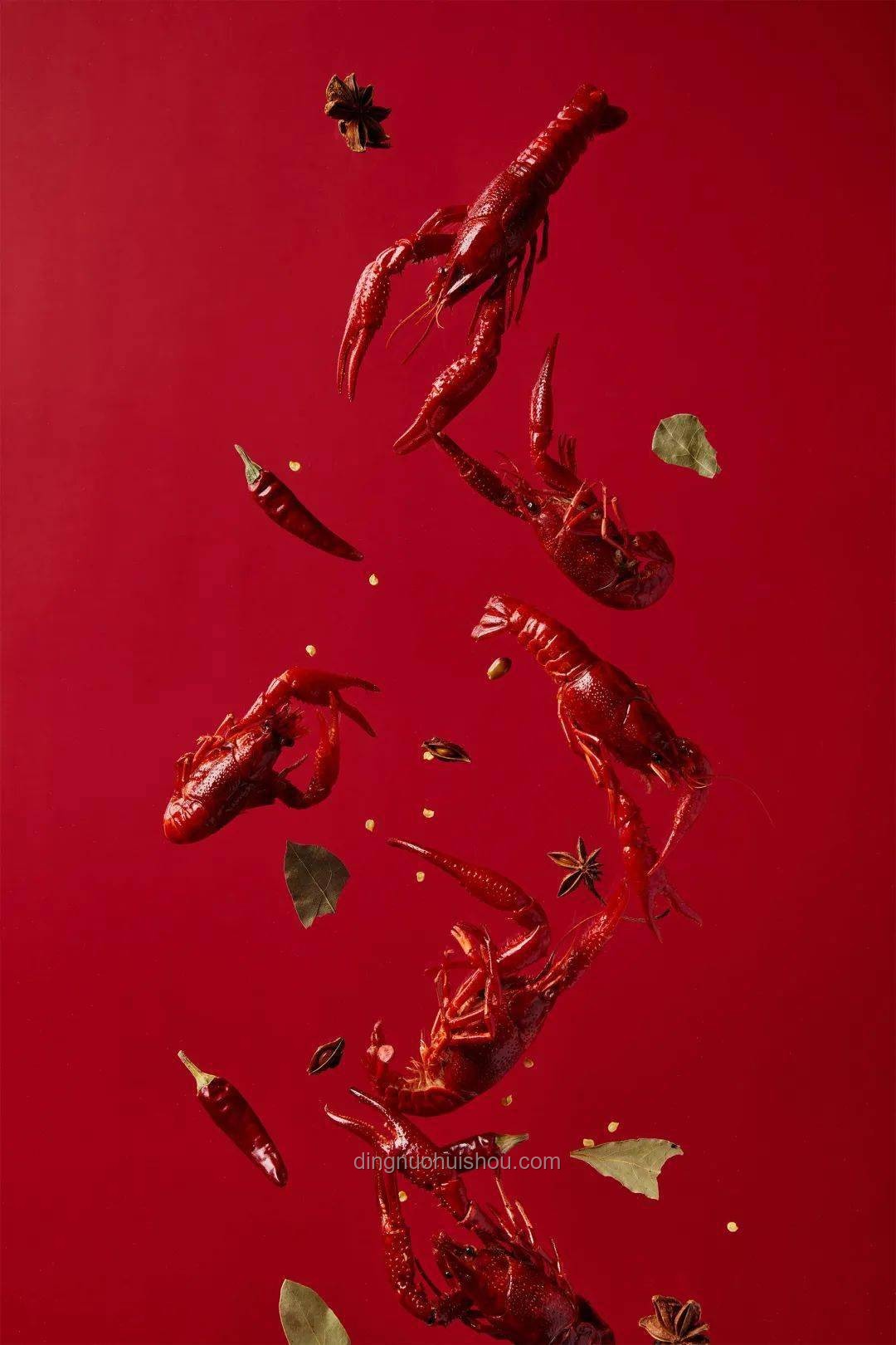 赤甲紅VS彩虹螳螂蝦：海產(chǎn)養(yǎng)殖的巔峰對(duì)決與行業(yè)洞察