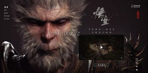 《黑神話:悟空》——經(jīng)典重塑與人性洞察的深度敘事 《黑神話:悟空》——經(jīng)典重塑與人性洞察的深度敘事
