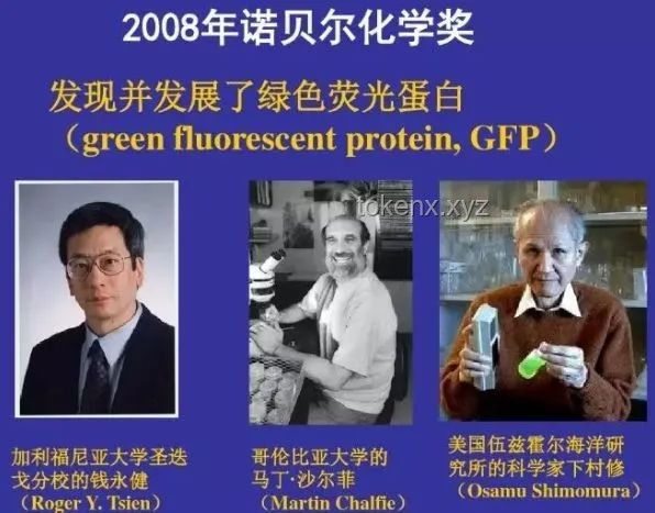 **特朗普政策與錢學森故事的對比分析:人才政策與國家利益** **特朗普政策與錢學森故事的對比分析:人才政策與國家利益**
