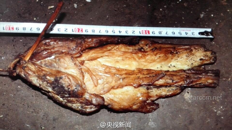 我剝了張“恐龍皮”,烹制了一場思維創(chuàng)新的滿漢全席???? 我剝了張“恐龍皮”,烹制了一場思維創(chuàng)新的滿漢全席????