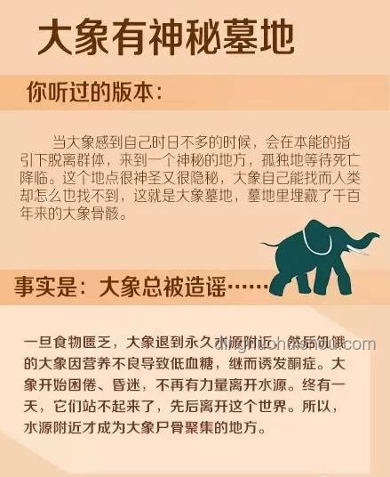 職場早鳥現(xiàn)象與行業(yè)動力解析:早到心態(tài)與行業(yè)效率 職場早鳥現(xiàn)象與行業(yè)動力解析:早到心態(tài)與行業(yè)效率