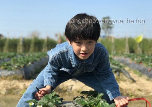向佐曬女兒正臉照引熱議:星二代萌態(tài)背后的娛樂產業(yè)新趨勢 向佐曬女兒正臉照引熱議:星二代萌態(tài)背后的娛樂產業(yè)新趨勢