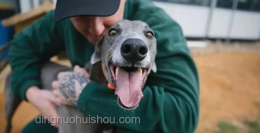 孩童遇惡犬攻擊防范知識
