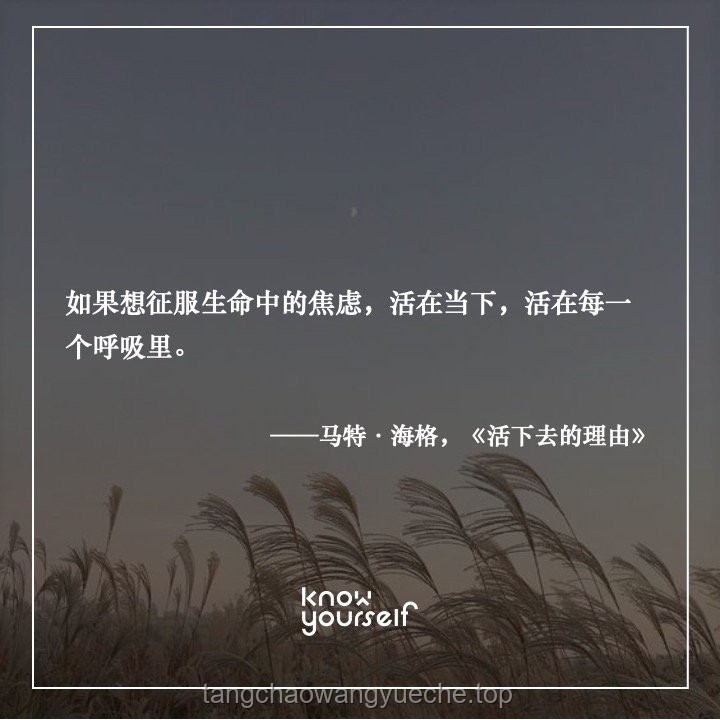 在明白“活在當下”后我不再焦慮 在明白“活在當下”后我不再焦慮
