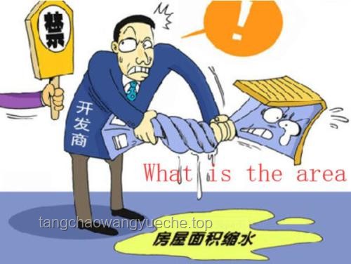 討厭選擇?全面解析“全買了”策略的利弊 討厭選擇?全面解析“全買了”策略的利弊