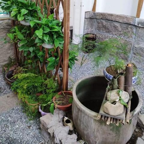 貓咪電影院開(kāi)業(yè)啦:寵物經(jīng)濟(jì)下的新型娛樂(lè)業(yè)態(tài)深度剖析 貓咪電影院開(kāi)業(yè)啦:寵物經(jīng)濟(jì)下的新型娛樂(lè)業(yè)態(tài)深度剖析