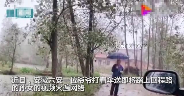 偉大母愛VS個(gè)人犧牲:雨中撐傘行為的對(duì)比分析 偉大母愛VS個(gè)人犧牲:雨中撐傘行為的對(duì)比分析