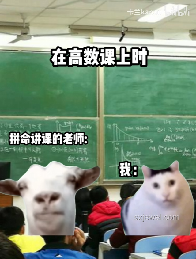 大司馬貓meme:網(wǎng)絡(luò)迷因的娛樂與情感共鳴 大司馬貓meme:網(wǎng)絡(luò)迷因的娛樂與情感共鳴