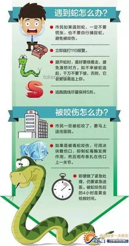 被蛇咬后的應(yīng)急處理將更趨科學(xué)規(guī)范化 被蛇咬后的應(yīng)急處理將更趨科學(xué)規(guī)范化