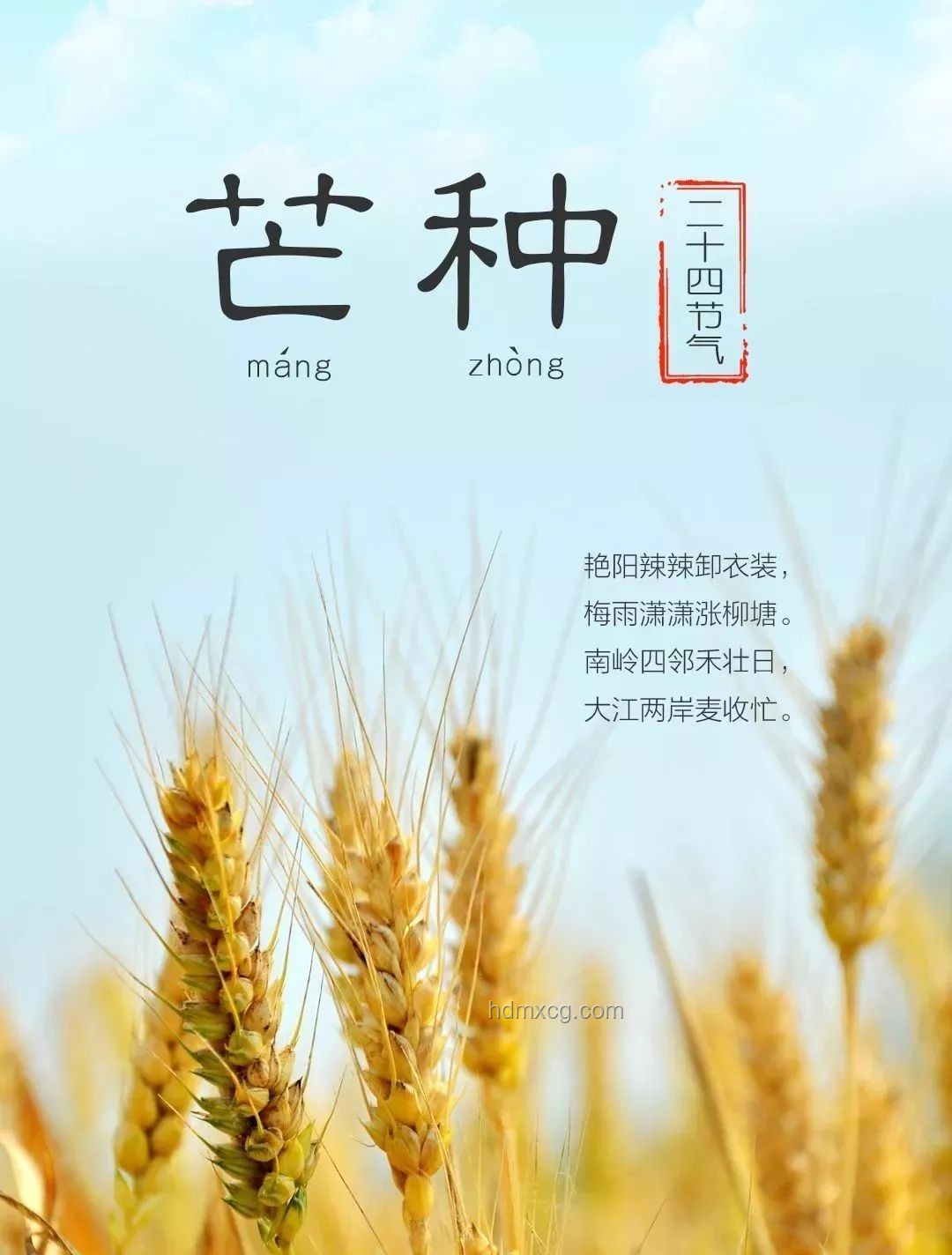 今日芒種,播種創(chuàng)新之種:跨界融合播種未來 今日芒種,播種創(chuàng)新之種:跨界融合播種未來