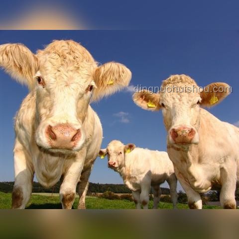 創(chuàng)業(yè)一年,人間三年:未來三年創(chuàng)業(yè)趨勢前瞻 創(chuàng)業(yè)一年,人間三年:未來三年創(chuàng)業(yè)趨勢前瞻
