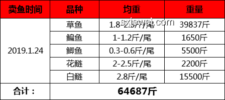 幸運(yùn)食客中獎(jiǎng)案例分析：男子吃面中66666元與常規(guī)消費(fèi)對(duì)比