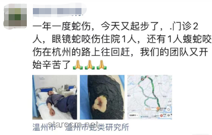 女生河邊散步遇蝮蛇咬傷處理指南 女生河邊散步遇蝮蛇咬傷處理指南