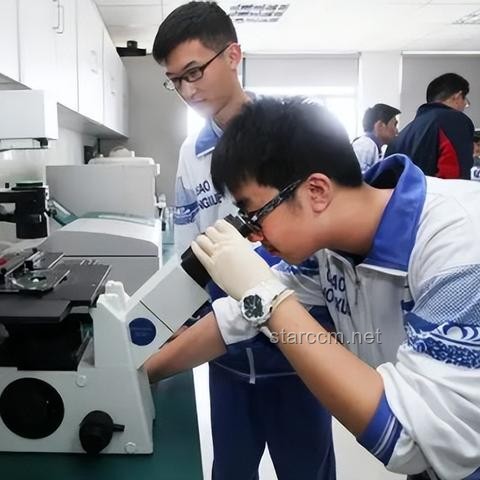 高考第一天必備指南：平穩(wěn)心態(tài)，高效應考