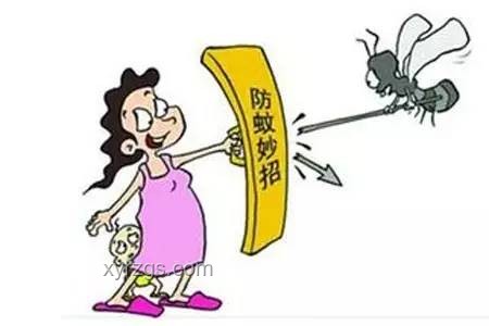 應(yīng)對致命蟲咬：高峰期防護(hù)與應(yīng)急處理