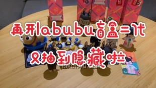Labubu聯(lián)名款炒至天價(jià),我的收藏之路大起底?? Labubu聯(lián)名款炒至天價(jià),我的收藏之路大起底??