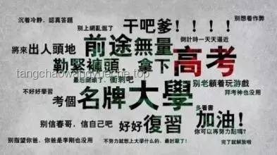“特馬”分手啟示錄:掙脫藥癮迷霧,重建人生秩序 “特馬”分手啟示錄:掙脫藥癮迷霧,重建人生秩序