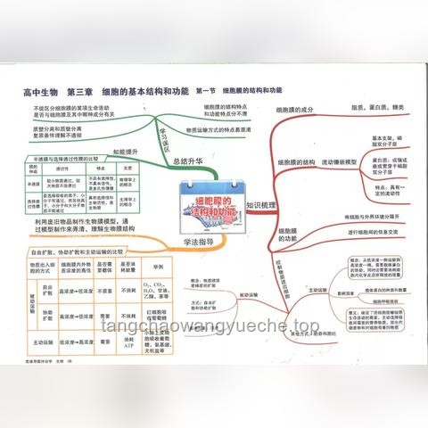 高考生物高效備考策略 高考生物高效備考策略