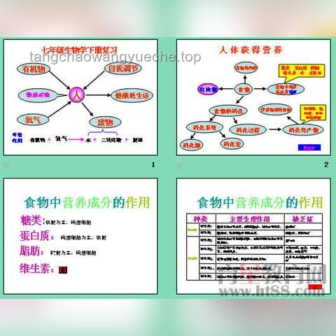 高考生物高效備考策略 高考生物高效備考策略