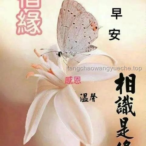 朋友情感需求滿足案例研究:絕區(qū)零生日會(huì)與牽掛之情 朋友情感需求滿足案例研究:絕區(qū)零生日會(huì)與牽掛之情