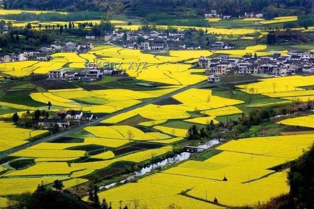 廣西瓜田哄搶事件后:農(nóng)村法治與道德建設(shè)的未來趨勢 廣西瓜田哄搶事件后:農(nóng)村法治與道德建設(shè)的未來趨勢