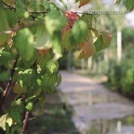 北大回應(yīng)商家售賣未名湖湖水問題解決方案 北大回應(yīng)商家售賣未名湖湖水問題解決方案