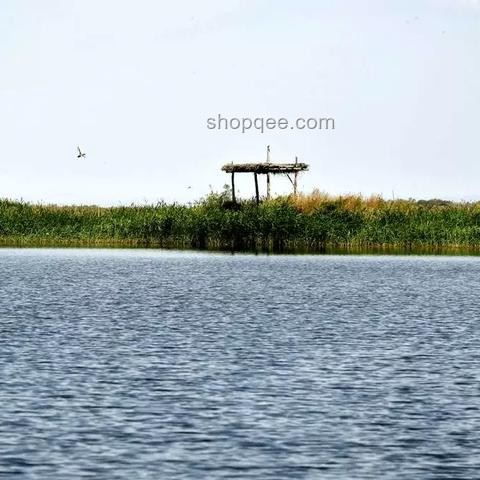 北大回應(yīng)商家售賣未名湖湖水問題解決方案 北大回應(yīng)商家售賣未名湖湖水問題解決方案