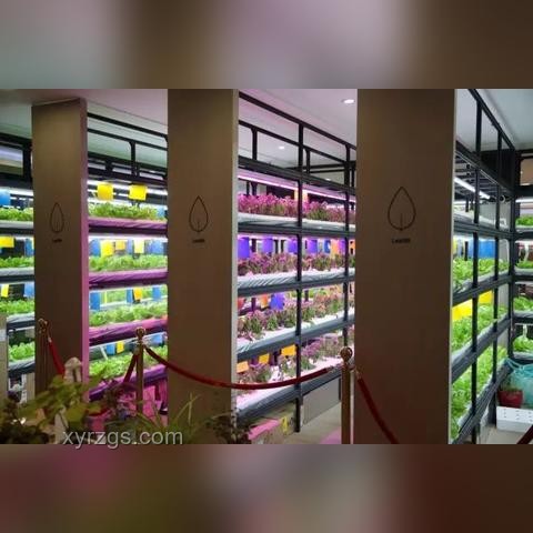 任式創(chuàng)新:干就完了,解鎖跨界新思維 任式創(chuàng)新:干就完了,解鎖跨界新思維
