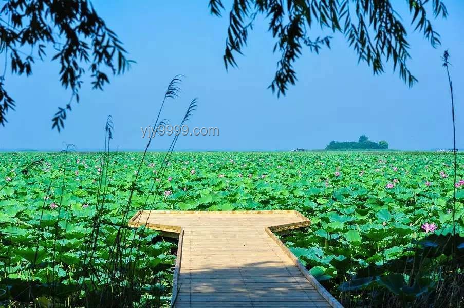 山東多個(gè)景區(qū)中高考生免費(fèi)游玩方案指南 山東多個(gè)景區(qū)中高考生免費(fèi)游玩方案指南