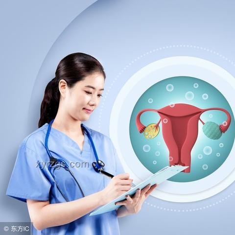 排卵期誤解揭秘：行業(yè)深度洞察與未來展望