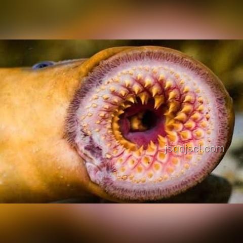 21世紀(jì)生物學(xué)現(xiàn)狀:天坑還是新藍(lán)海? 21世紀(jì)生物學(xué)現(xiàn)狀:天坑還是新藍(lán)海?