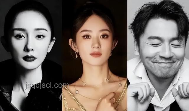 章子怡主演《醬園弄》:大女主與大男主的交織敘事 章子怡主演《醬園弄》:大女主與大男主的交織敘事