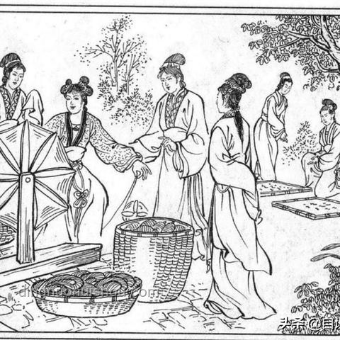 扁擔女孩與普遍大學生:上大學前網(wǎng)絡行為對比 扁擔女孩與普遍大學生:上大學前網(wǎng)絡行為對比