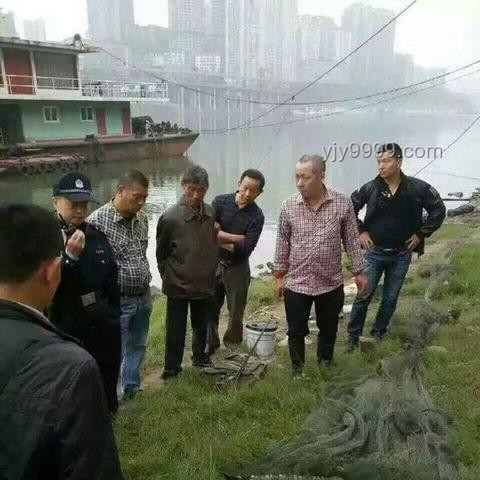 男子意外釣到鱷魚,多方合力妥善安置方案 男子意外釣到鱷魚,多方合力妥善安置方案