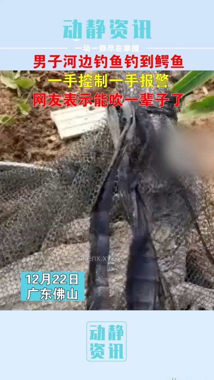 男子意外釣到鱷魚,多方合力妥善安置指南 男子意外釣到鱷魚,多方合力妥善安置指南