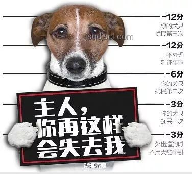 男子教唆犬只攻擊行為與正常寵物狗互動的對比分析 男子教唆犬只攻擊行為與正常寵物狗互動的對比分析