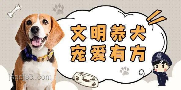 男子教唆犬只攻擊行為與正常寵物狗互動的對比分析 男子教唆犬只攻擊行為與正常寵物狗互動的對比分析