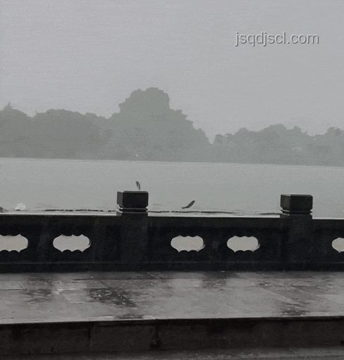 雨后西湖魚躍龍門，預(yù)示成功伏筆新趨勢