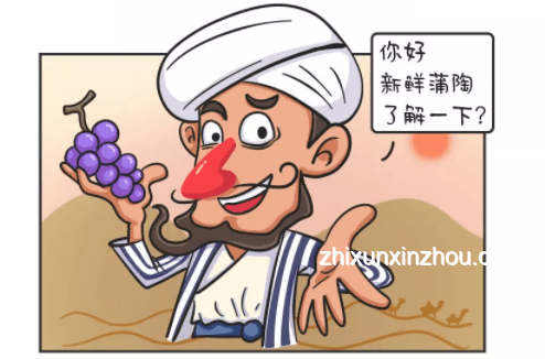 新世界征途:懶鬼水手變身,征服數(shù)字海洋新趨勢 新世界征途:懶鬼水手變身,征服數(shù)字海洋新趨勢