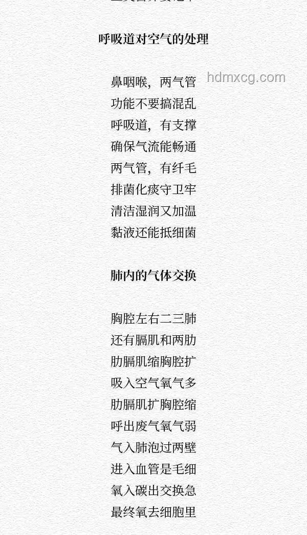 循環(huán)歌單打造法:【句句屬實(shí)】的“想成為將軍必備語錄”指南 循環(huán)歌單打造法:【句句屬實(shí)】的“想成為將軍必備語錄”指南