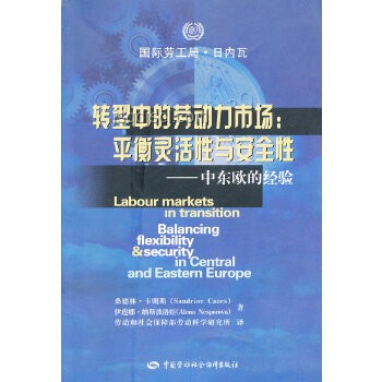 規(guī)則嚴(yán)苛度評估：如何平衡規(guī)范與靈活性？