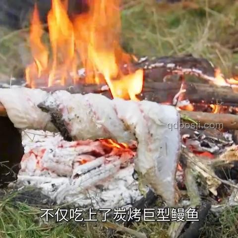 日本稻田小龍蝦被燙熟問題解決方案