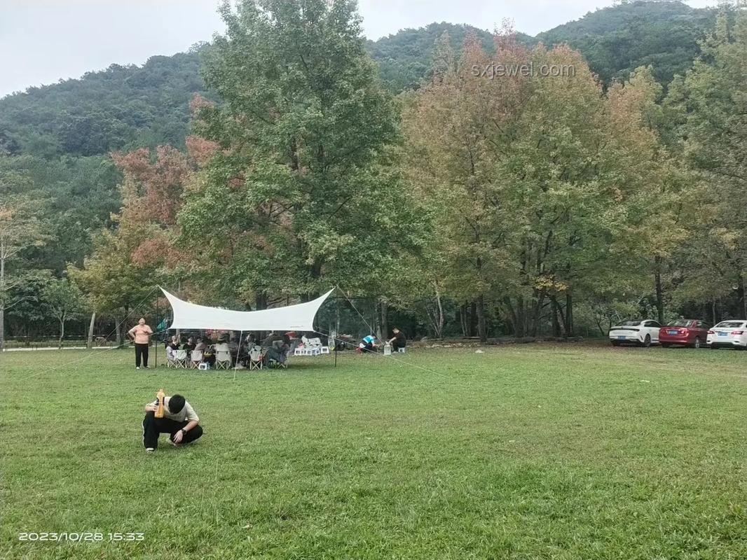 十萬大山圍困中的春日夢回 十萬大山圍困中的春日夢回