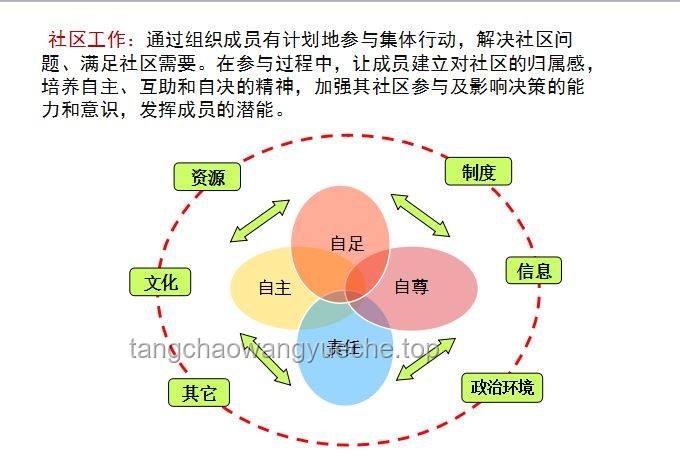 蛋撻皮的華麗變身：創(chuàng)新應(yīng)用與市場趨勢深度剖析