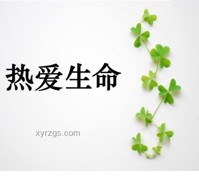 因愛(ài)共苦,未來(lái)共富:愛(ài)情與共同奮斗的新趨勢(shì) 因愛(ài)共苦,未來(lái)共富:愛(ài)情與共同奮斗的新趨勢(shì)